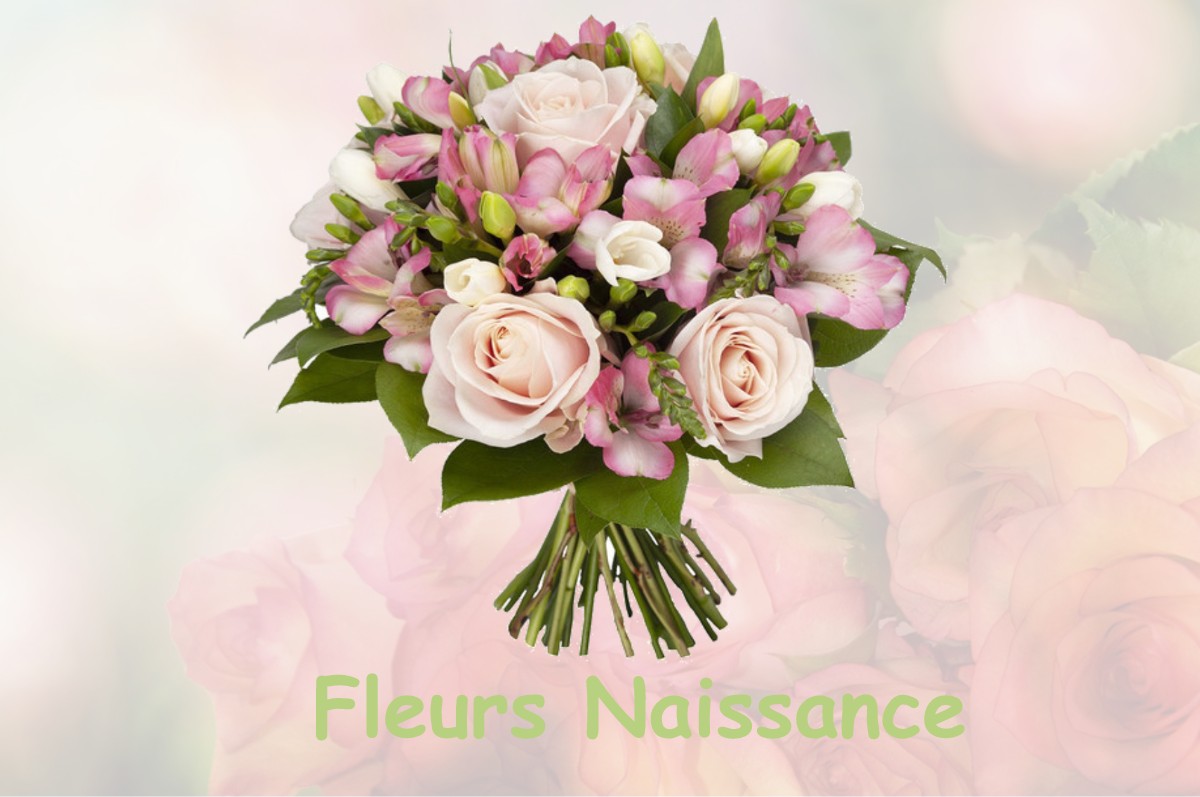 fleurs naissance L-ILE-BOUCHARD